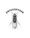 Entochrysis